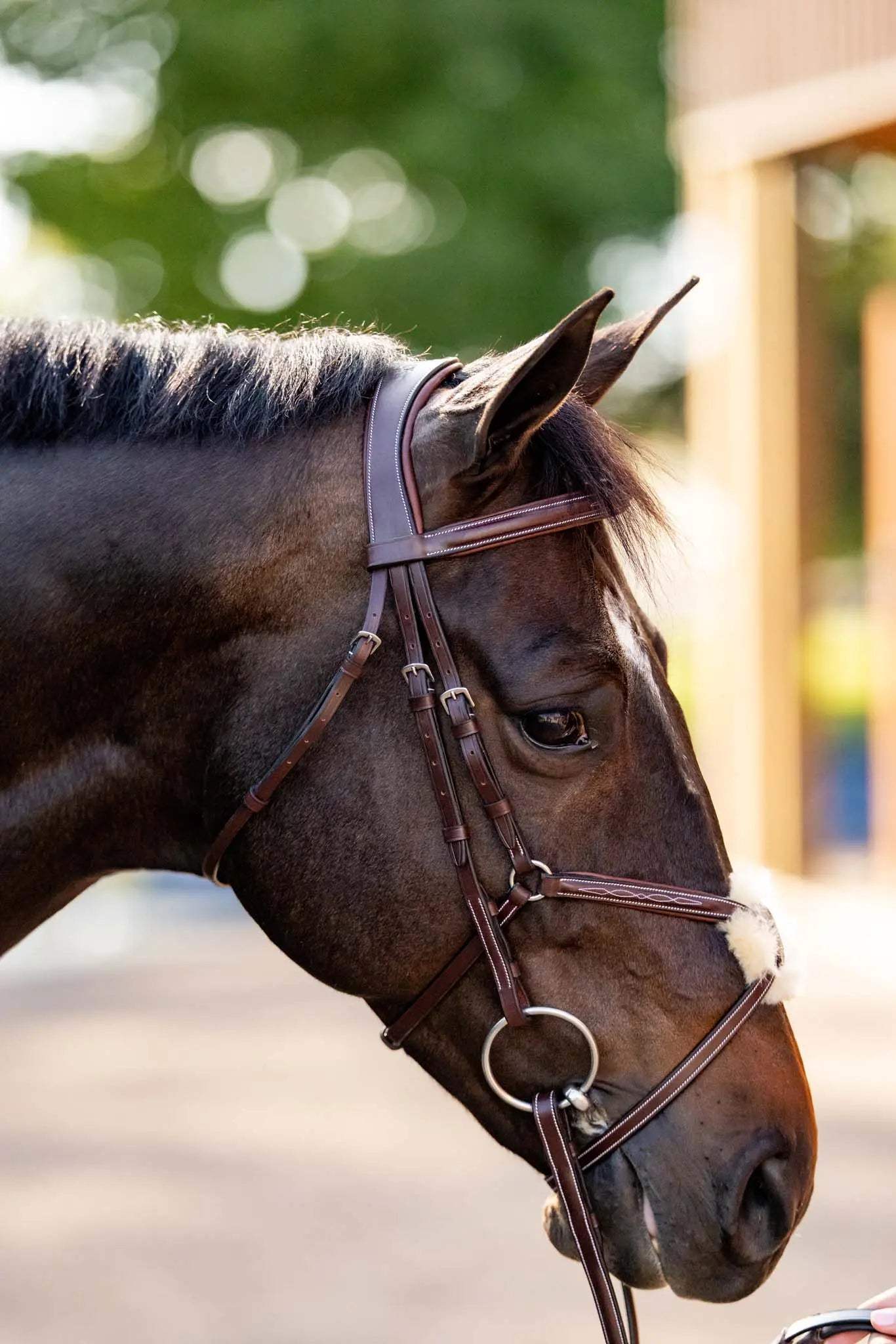 Huntley Equestrian Sedgwick Leather Padded Monocrown Figure 8 Bridle - Huntley Equestrian - Flyclothing LLC