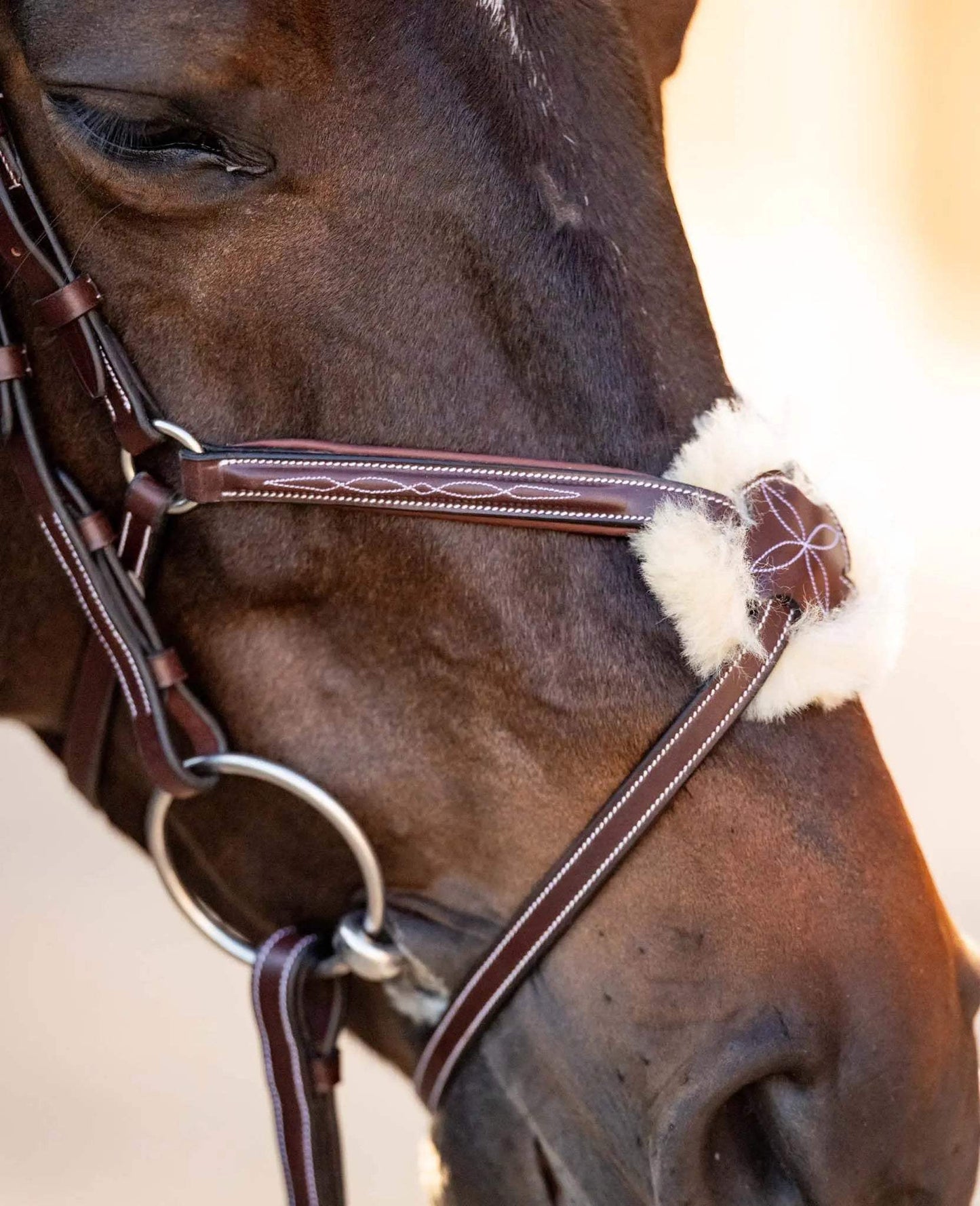 Huntley Equestrian Sedgwick Leather Padded Monocrown Figure 8 Bridle - Huntley Equestrian - Flyclothing LLC