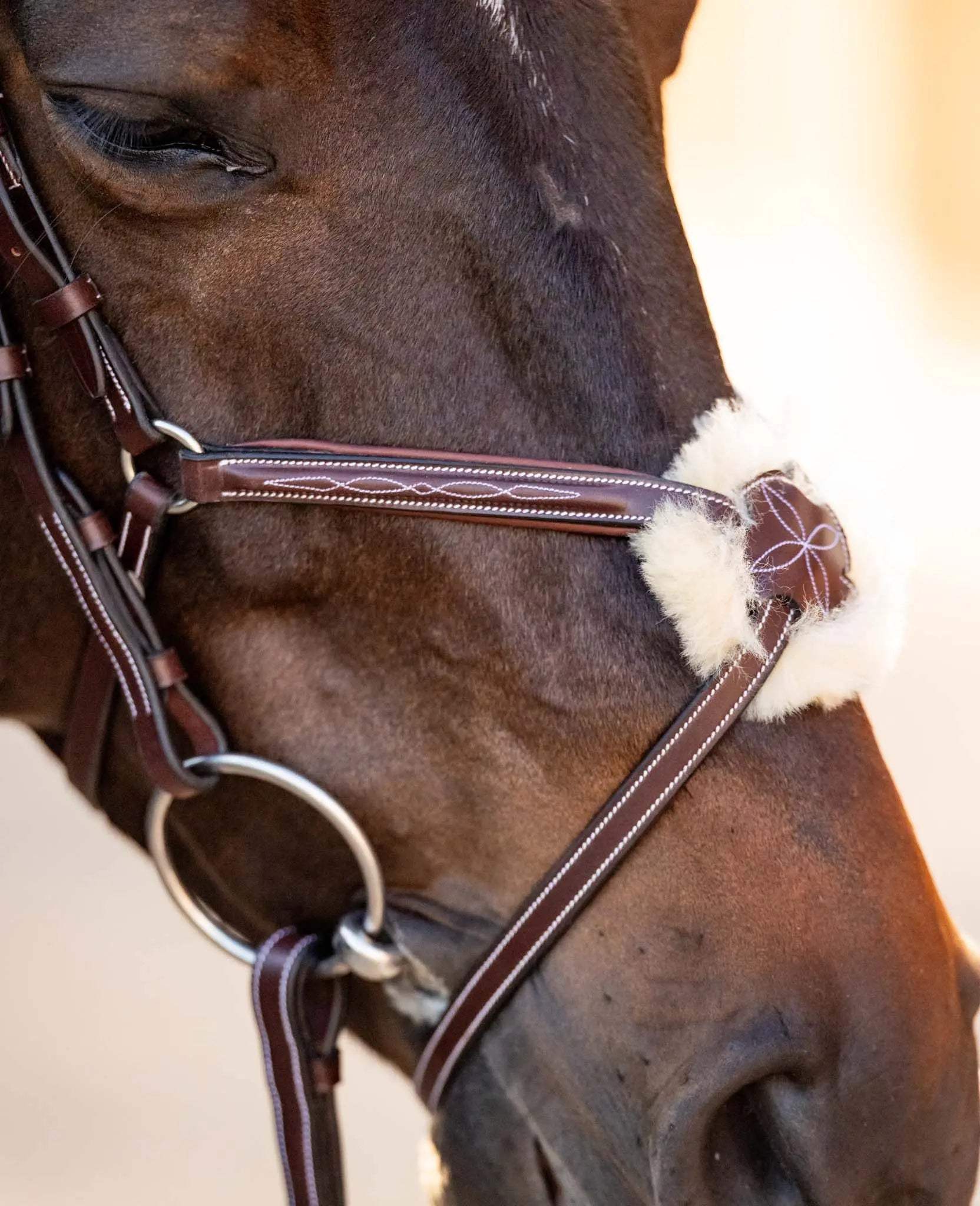 Huntley Equestrian Sedgwick Leather Padded Monocrown Figure 8 Bridle - Huntley Equestrian - Flyclothing LLC