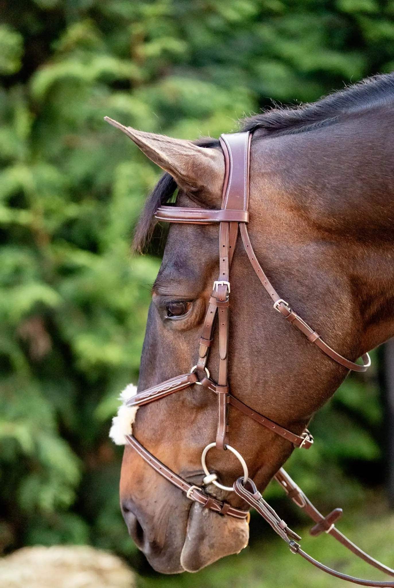 Huntley Equestrian Sedgwick Leather Padded Monocrown Figure 8 Bridle - Huntley Equestrian - Flyclothing LLC