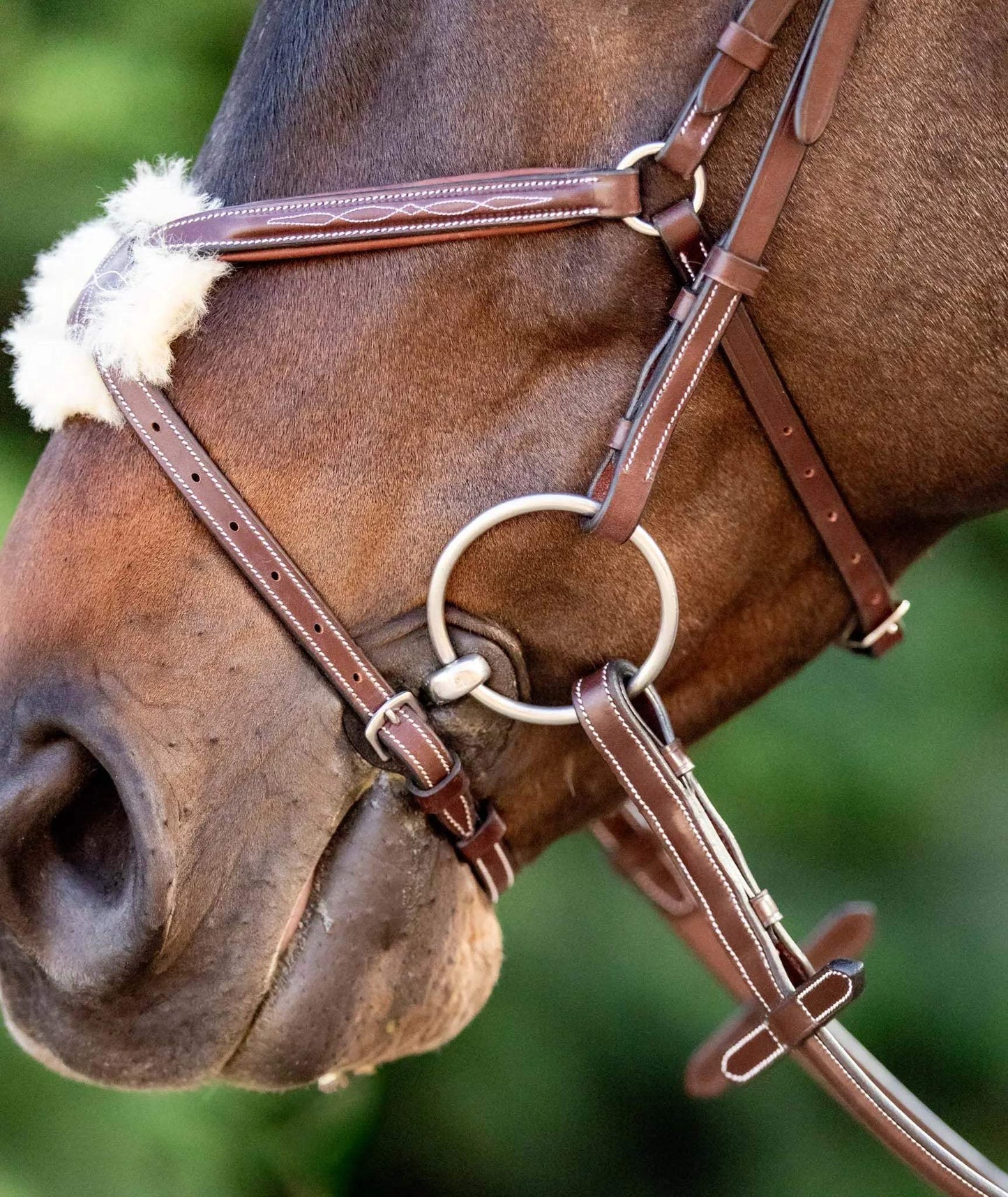 Huntley Equestrian Sedgwick Leather Padded Monocrown Figure 8 Bridle - Huntley Equestrian - Flyclothing LLC