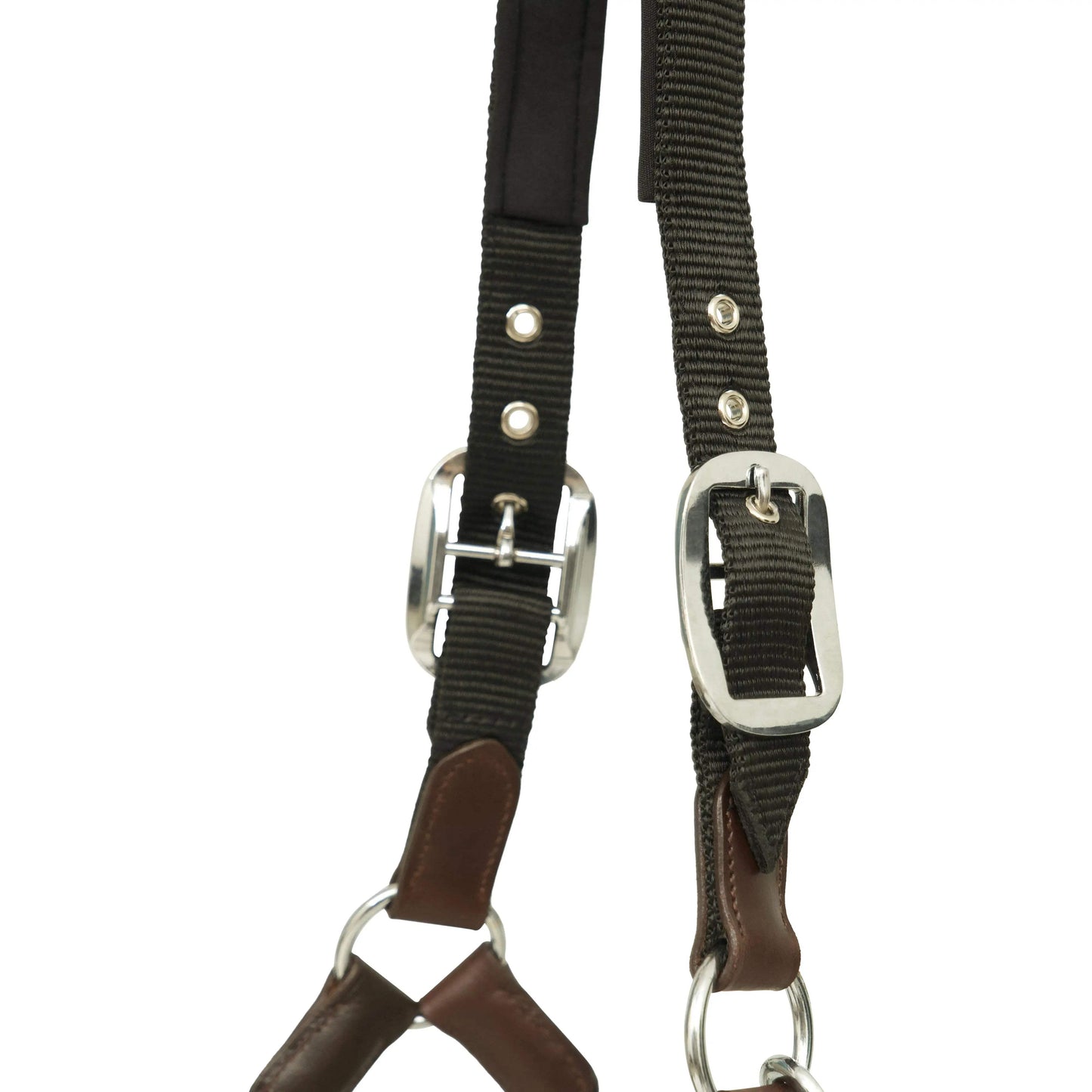 Huntley Nylon Halter and Removable Lead with Snap, Black - Huntley Equestrian - Flyclothing LLC