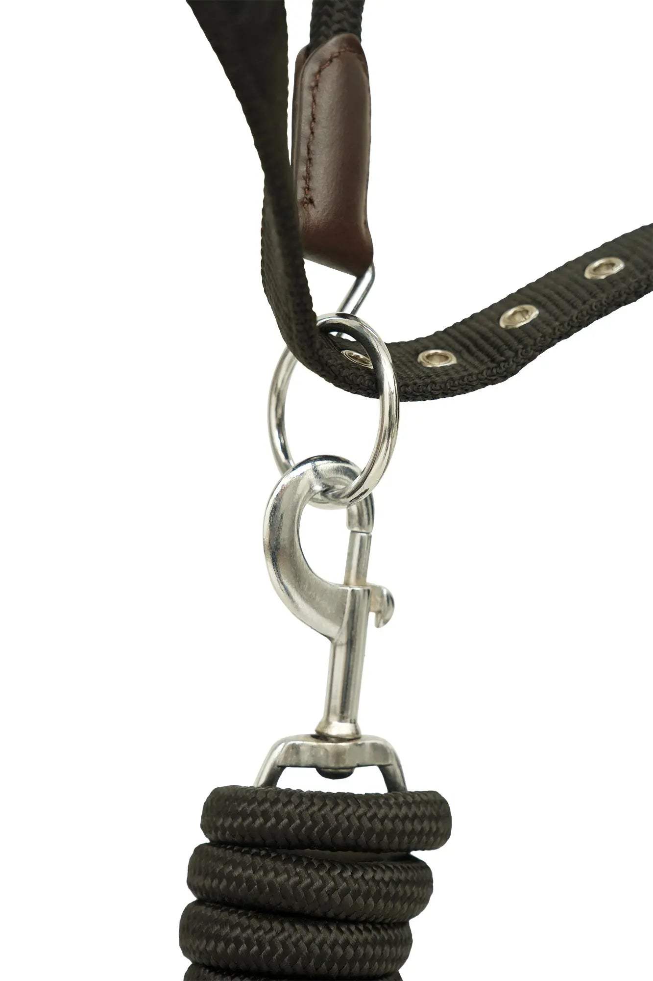 Huntley Nylon Halter and Removable Lead with Snap, Black - Huntley Equestrian - Flyclothing LLC
