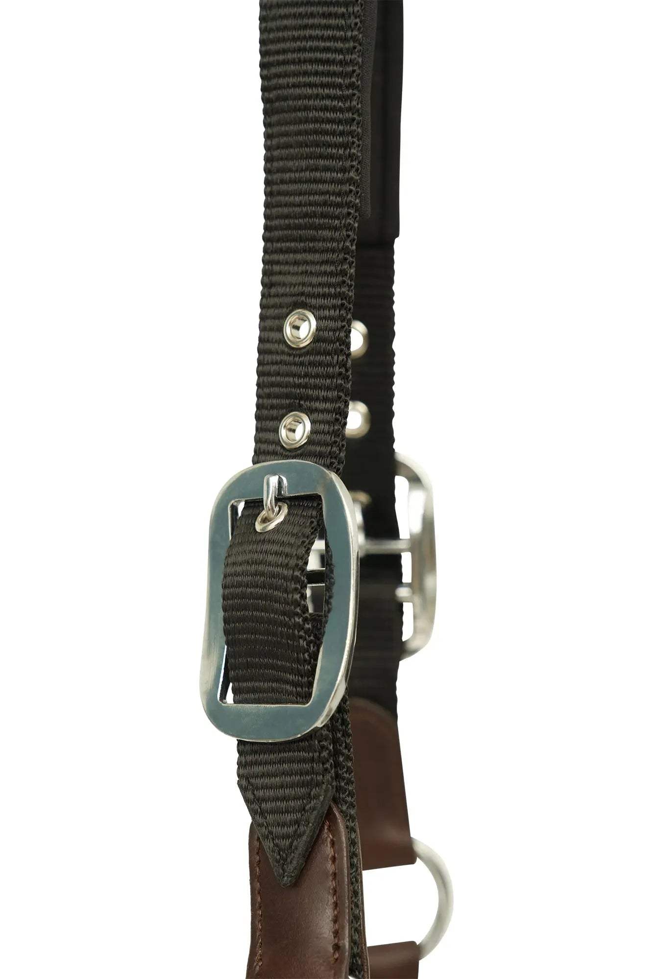 Huntley Nylon Halter and Removable Lead with Snap, Black - Huntley Equestrian - Flyclothing LLC