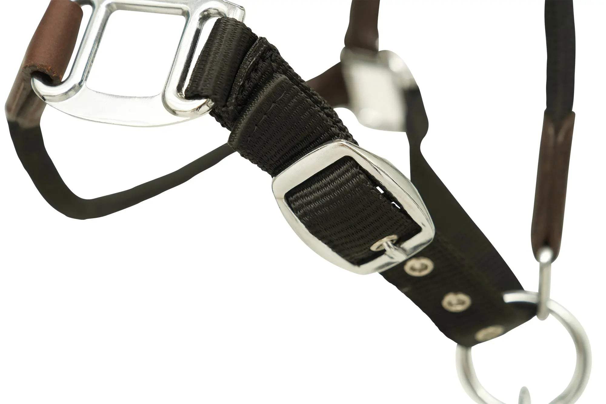Huntley Nylon Halter and Removable Lead with Snap, Black - Huntley Equestrian - Flyclothing LLC
