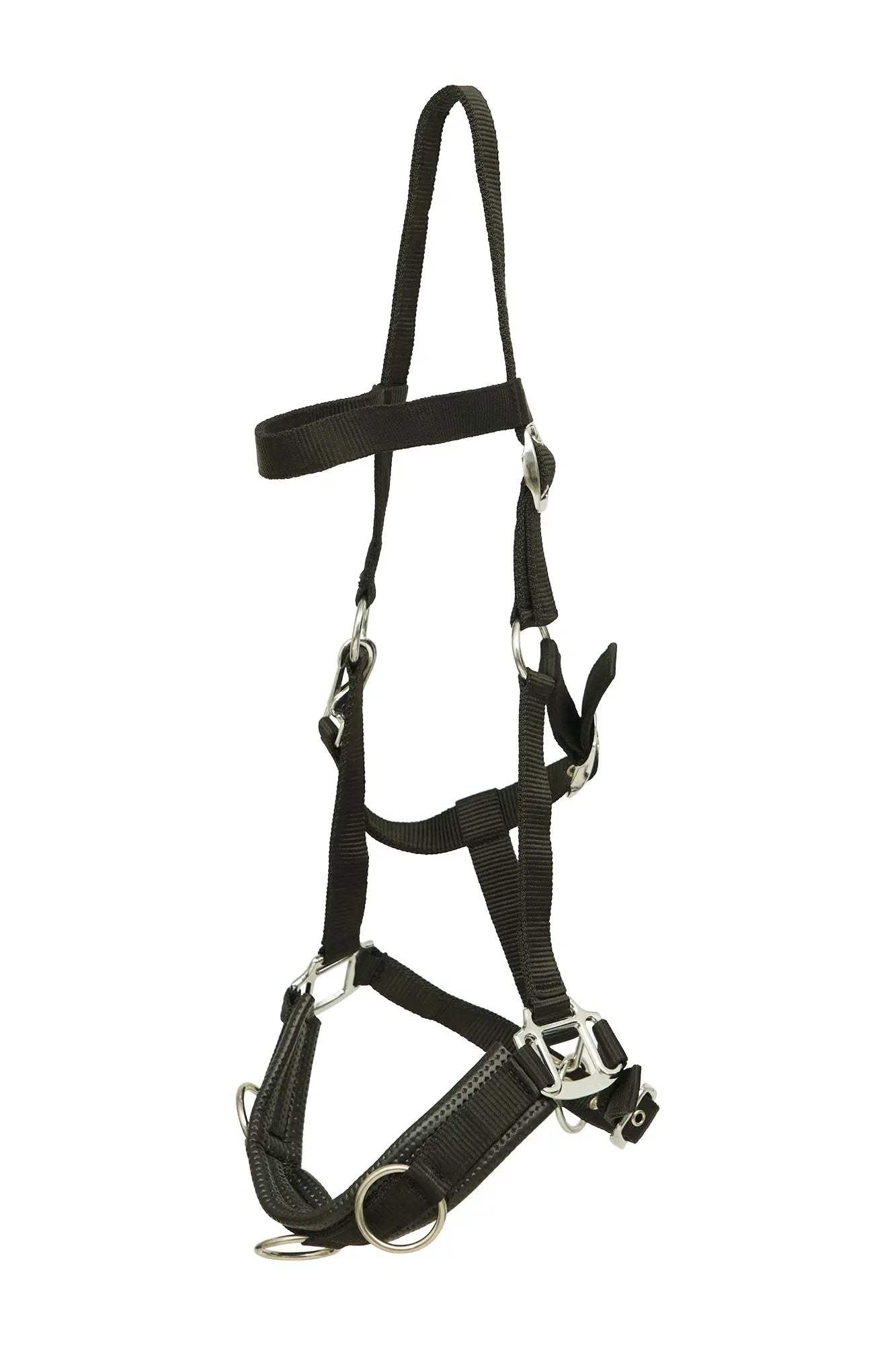Huntley Nylon Padded Lunging Caveson, Black - Huntley Equestrian - Flyclothing LLC