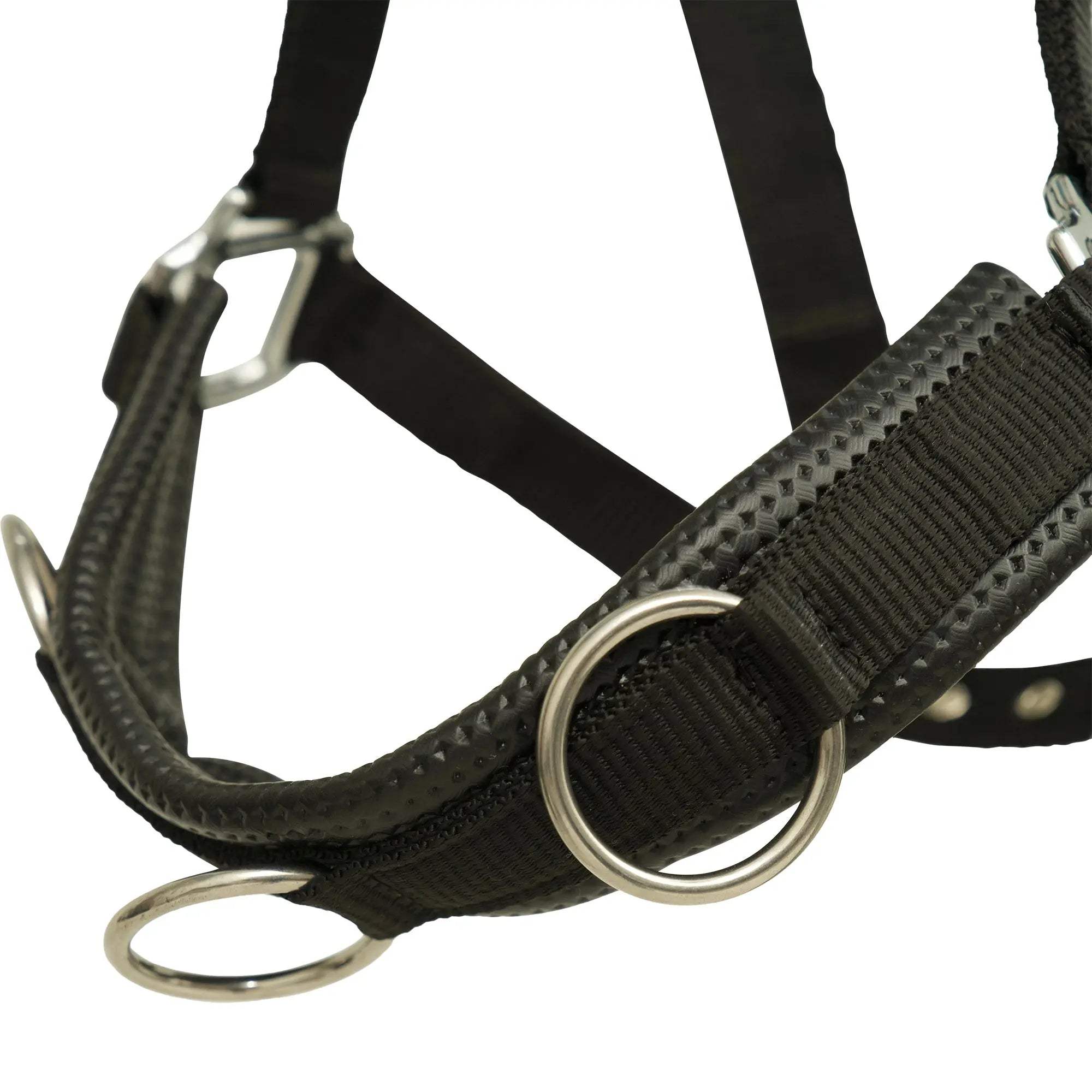 Huntley Nylon Padded Lunging Caveson, Black - Huntley Equestrian - Flyclothing LLC
