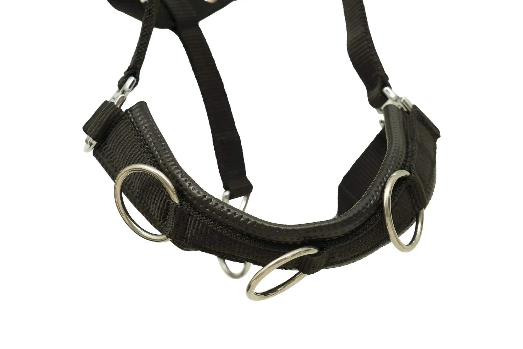 Huntley Nylon Padded Lunging Caveson, Black - Huntley Equestrian - Flyclothing LLC