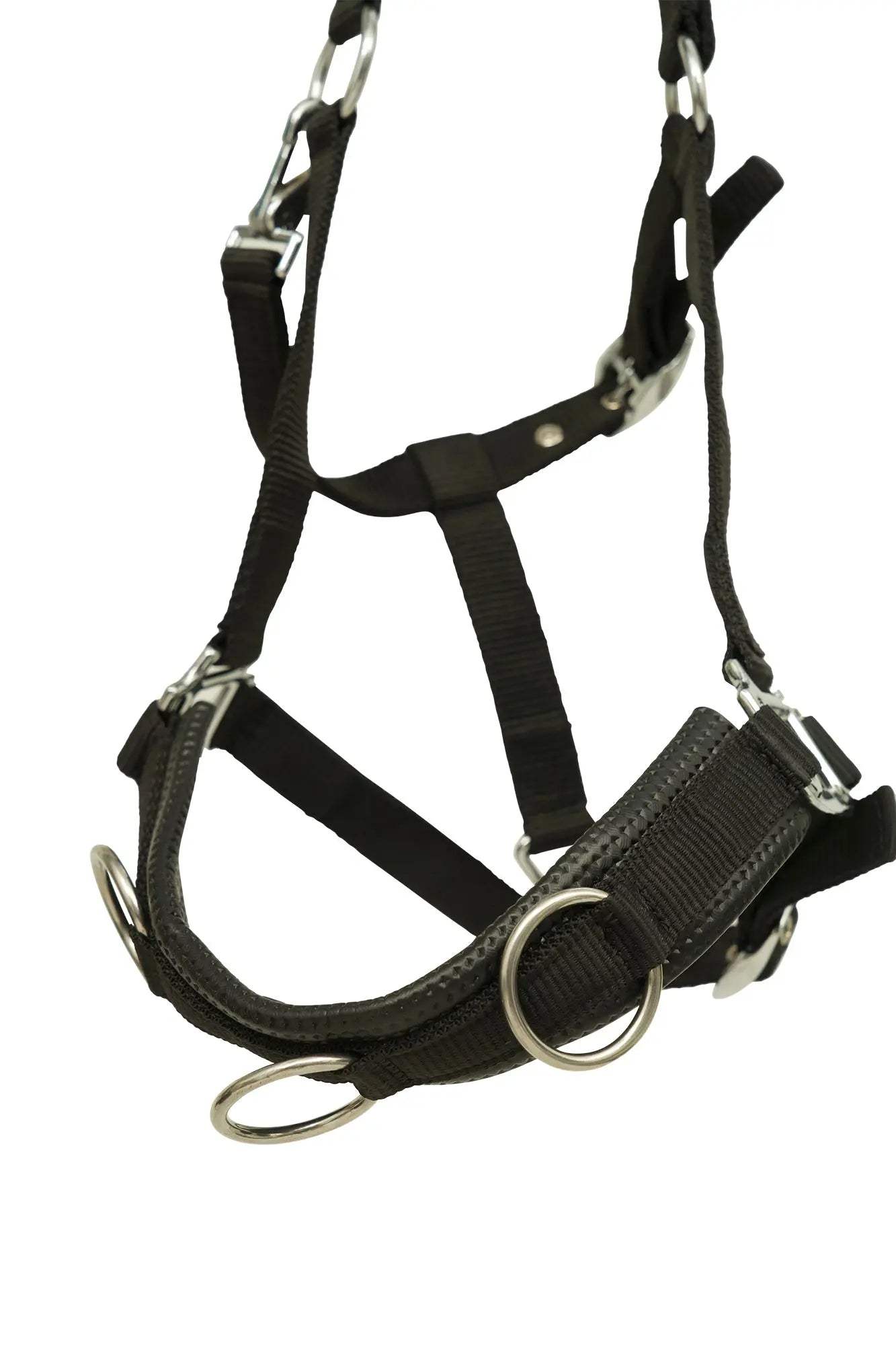 Huntley Nylon Padded Lunging Caveson, Black - Huntley Equestrian - Flyclothing LLC
