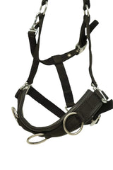 Huntley Nylon Padded Lunging Caveson, Black - Huntley Equestrian - Flyclothing LLC