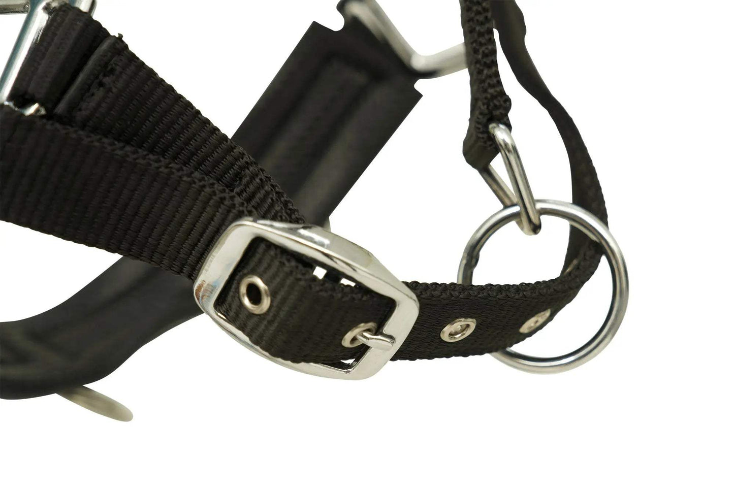 Huntley Nylon Padded Lunging Caveson, Black - Huntley Equestrian - Flyclothing LLC