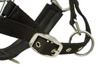 Huntley Nylon Padded Lunging Caveson, Black - Huntley Equestrian - Flyclothing LLC