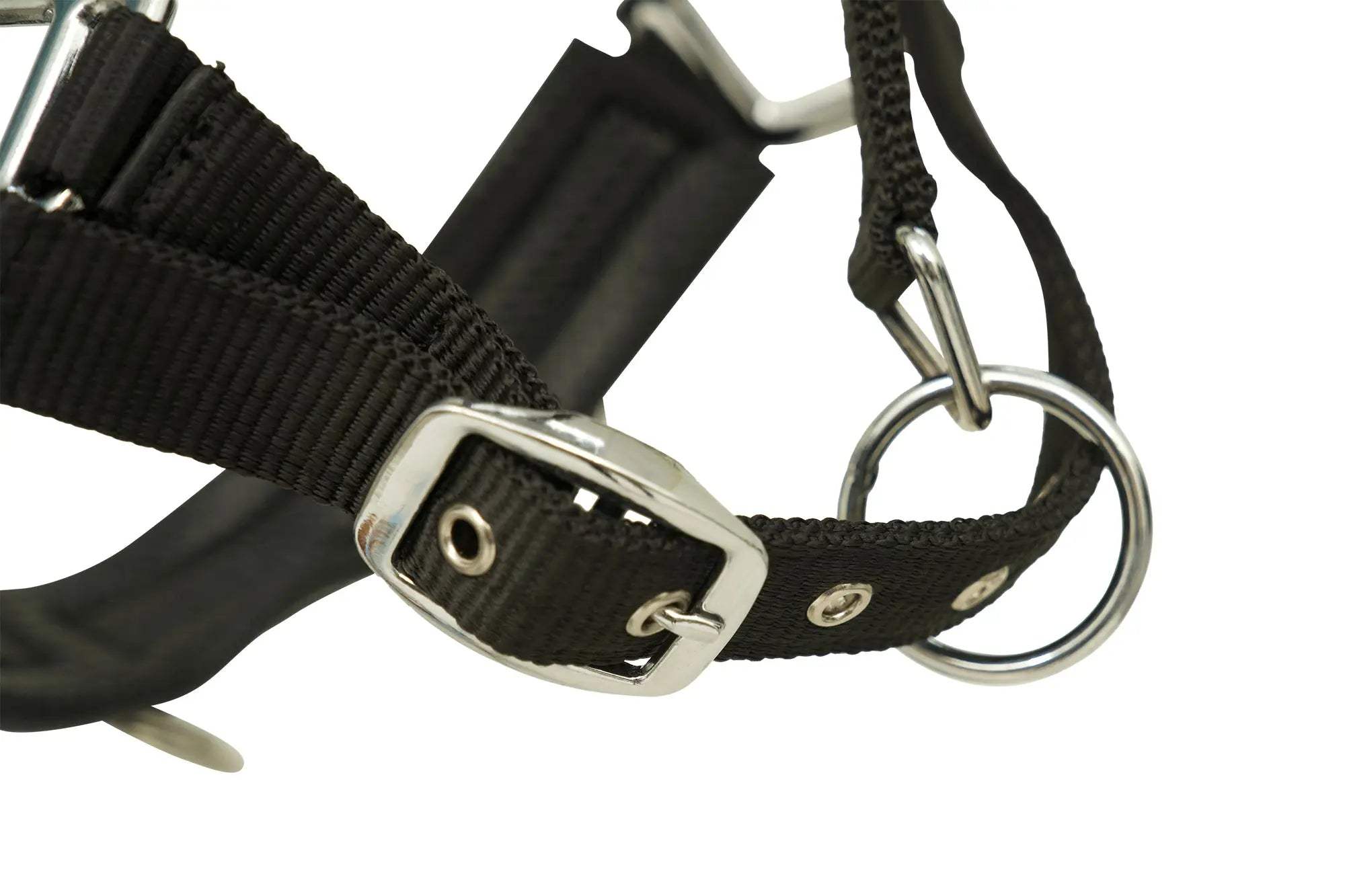Huntley Nylon Padded Lunging Caveson, Black - Huntley Equestrian - Flyclothing LLC