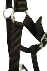 Huntley Nylon Padded Lunging Caveson, Black - Huntley Equestrian - Flyclothing LLC