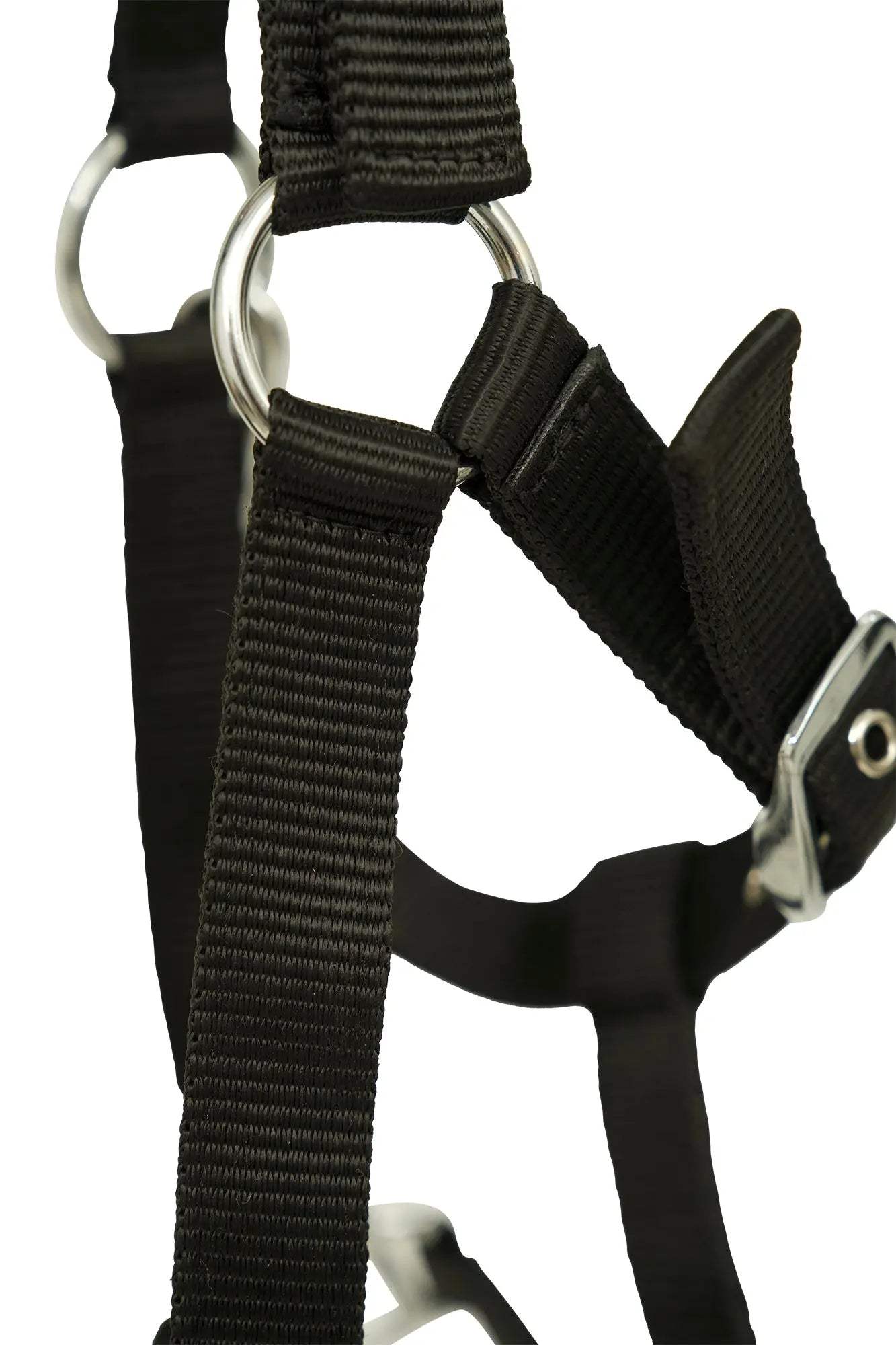 Huntley Nylon Padded Lunging Caveson, Black - Huntley Equestrian - Flyclothing LLC