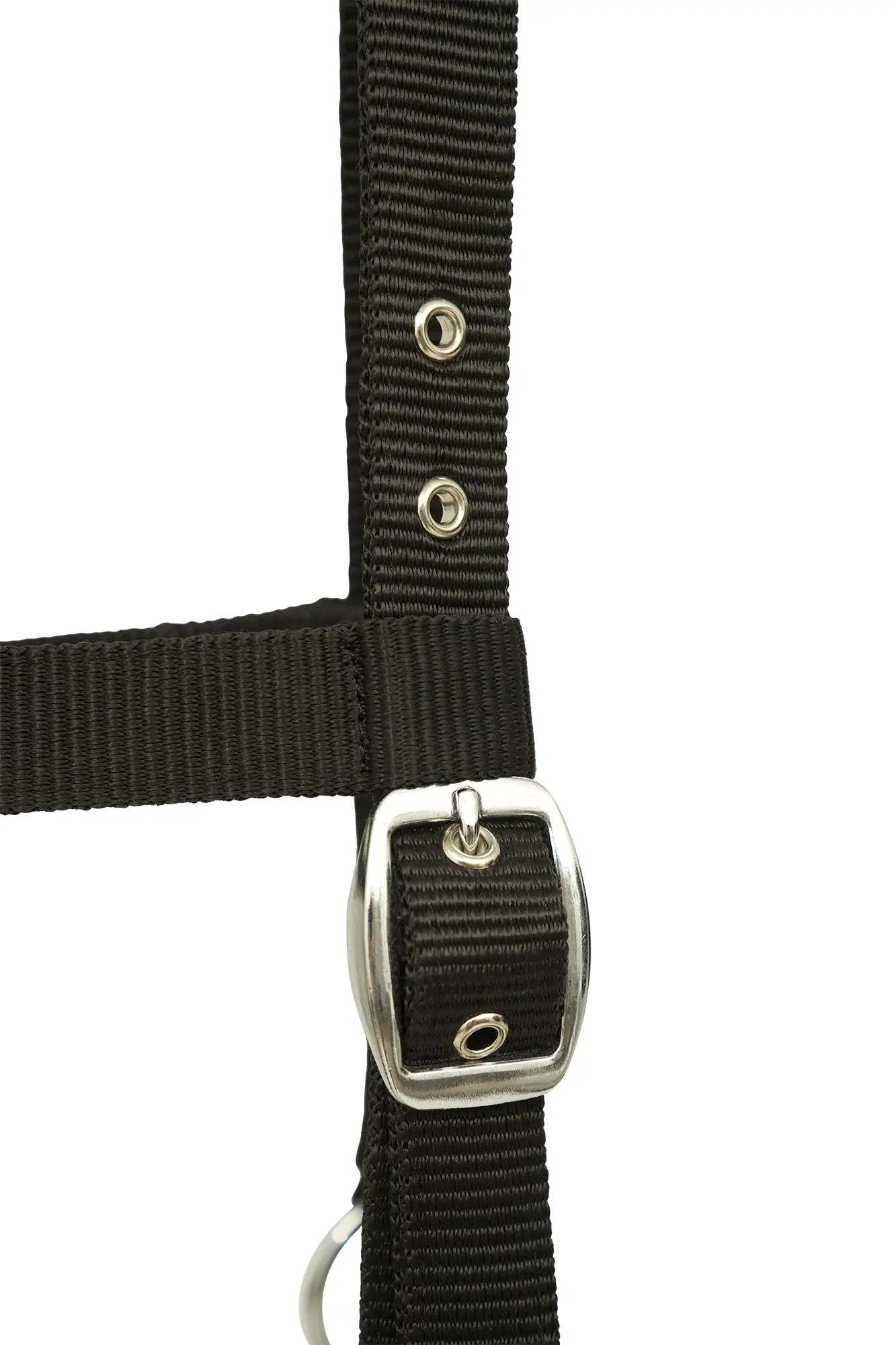 Huntley Nylon Padded Lunging Caveson, Black - Huntley Equestrian - Flyclothing LLC