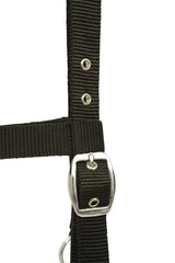 Huntley Nylon Padded Lunging Caveson, Black - Huntley Equestrian - Flyclothing LLC