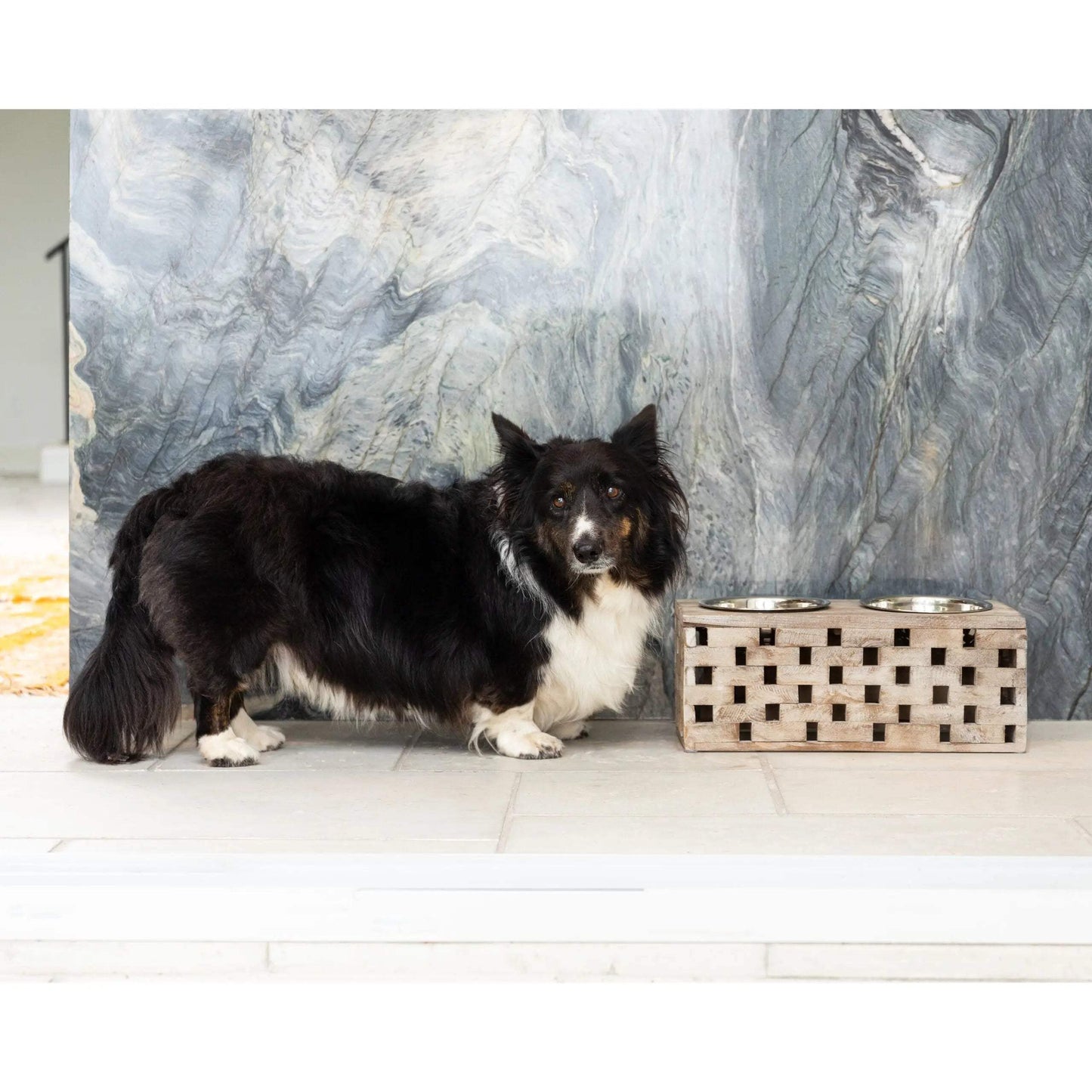 Huntley Pet Elevated Dog and Cat Double Bowl Feeder - Huntley Equestrian - Flyclothing LLC
