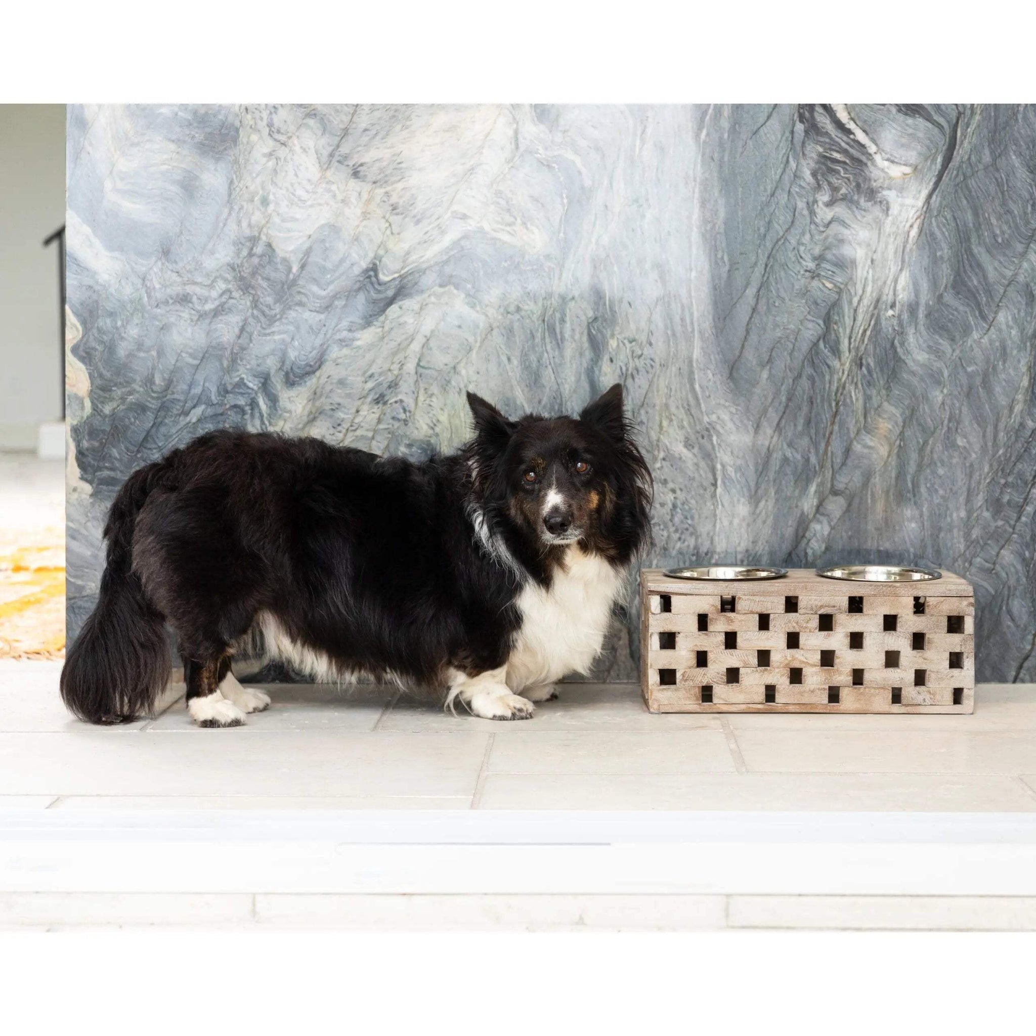 Huntley Pet Elevated Dog and Cat Double Bowl Feeder - Huntley Equestrian - Flyclothing LLC