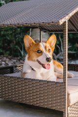 Huntley Pet Rattan Wicker Indoor Outdoor Cabana Raised Pet Bed - Huntley Equestrian - Flyclothing LLC