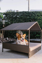 Huntley Pet Rattan Wicker Indoor Outdoor Cabana Raised Pet Bed - Huntley Equestrian - Flyclothing LLC