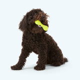 Hurley - West Paw - Flyclothing LLC