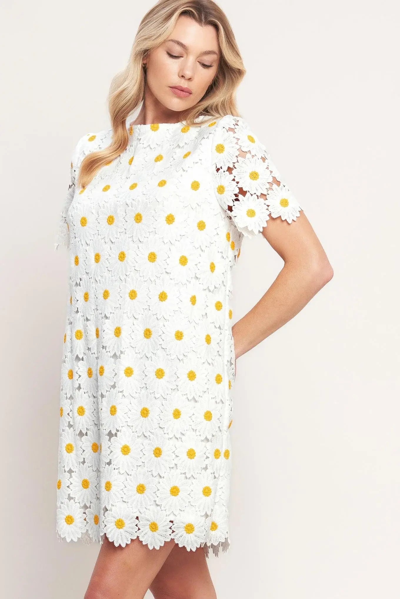 DAISIES AND DAYDREAMS WOVEN LACE MINI DRESS - Flying Tomato - Flyclothing LLC
