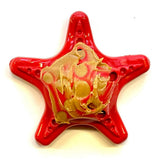 Starfish Nylon Dog Chew Toy for Aggressive Chewers | USA Made | SodaPup - SodaPup/True Dogs, LLC - Flyclothing LLC
