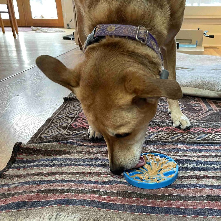 Air Nylon eCoin Lick Mat for Dogs - Durable Enrichment Toy | SodaPup - SodaPup/True Dogs, LLC - Flyclothing LLC