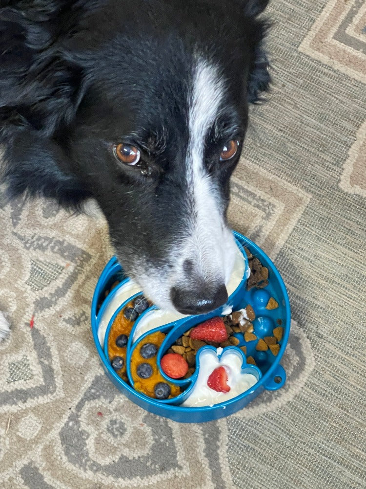 Wave eBowl Deep Slow Feeder Dog Bowl for Enrichment | Made in USA - SodaPup/True Dogs, LLC - Flyclothing LLC