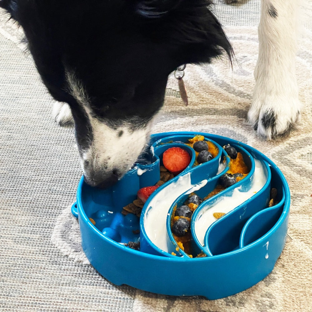Wave eBowl Deep Slow Feeder Dog Bowl for Enrichment | Made in USA - SodaPup/True Dogs, LLC - Flyclothing LLC
