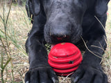 USA-K9 Stars and Stripes Rubber Dog Toy | K9 Handler Reward Toy | Red | USA Made - SodaPup/True Dogs, LLC - Flyclothing LLC
