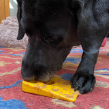 Swiss Cheese Wedge Nylon Dog Chew Toy for Aggressive Chewers | SodaPup - SodaPup/True Dogs, LLC - Flyclothing LLC