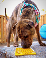 Honeycomb eMat - Enrichment Lick Mat for Dogs and Cats | eMat Enrichment Toy for Anxiety Relief | SodaPup - SodaPup/True Dogs, LLC - Flyclothing LLC