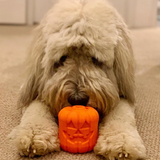 Jack O' Lantern Dog Toy - Durable Halloween Chew Toy for Large Dogs | USA Made - SodaPup/True Dogs, LLC - Flyclothing LLC