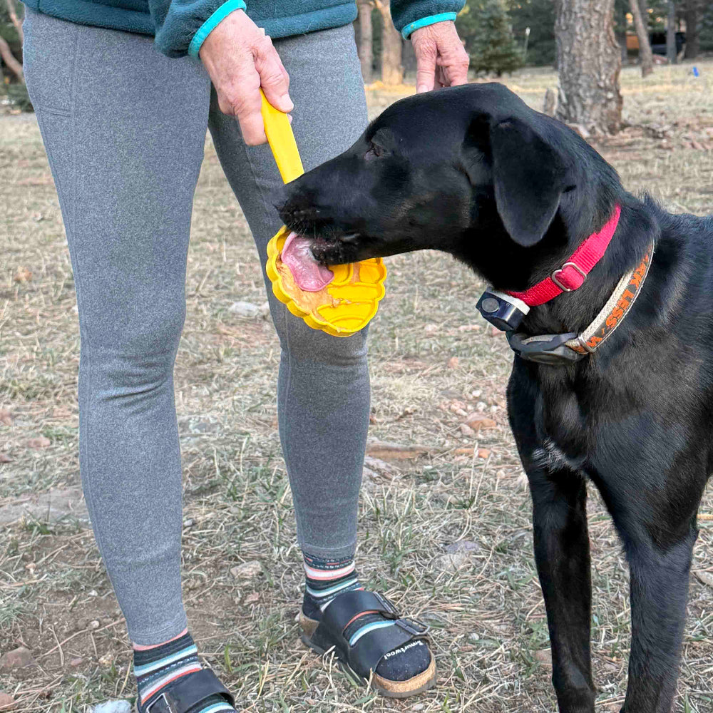 eStick Hand-Held Dog Enrichment Target Training Toy - Interactive Lick Stick | USA Made - SodaPup/True Dogs, LLC - Flyclothing LLC