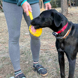 eStick Hand-Held Dog Enrichment Target Training Toy - Interactive Lick Stick | USA Made - SodaPup/True Dogs, LLC - Flyclothing LLC