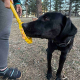 eStick Hand-Held Dog Enrichment Target Training Toy - Interactive Lick Stick | USA Made - SodaPup/True Dogs, LLC - Flyclothing LLC