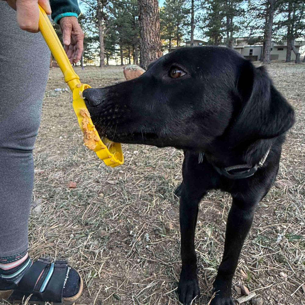 eStick Hand-Held Dog Enrichment Target Training Toy - Interactive Lick Stick | USA Made - SodaPup/True Dogs, LLC - Flyclothing LLC