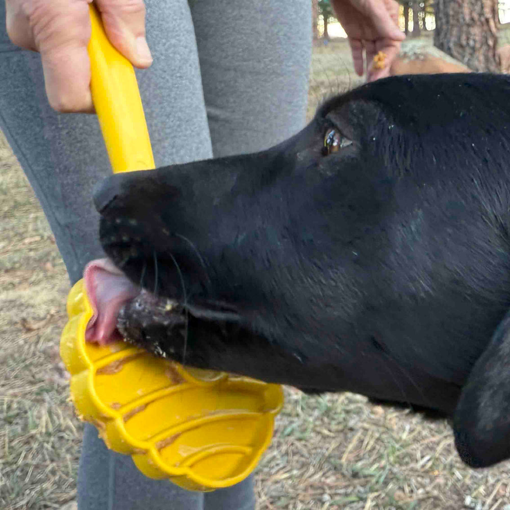 eStick Hand-Held Dog Enrichment Target Training Toy - Interactive Lick Stick | USA Made - SodaPup/True Dogs, LLC - Flyclothing LLC