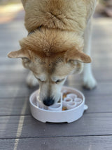 Java eBowl Deep Slow Feeder Dog Bowl for Enrichment | USA Made - SodaPup/True Dogs, LLC - Flyclothing LLC