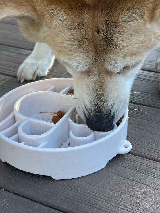 Java eBowl Deep Slow Feeder Dog Bowl for Enrichment | USA Made - SodaPup/True Dogs, LLC - Flyclothing LLC
