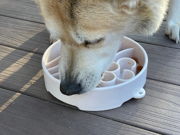 Java eBowl Deep Slow Feeder Dog Bowl for Enrichment | USA Made - SodaPup/True Dogs, LLC - Flyclothing LLC