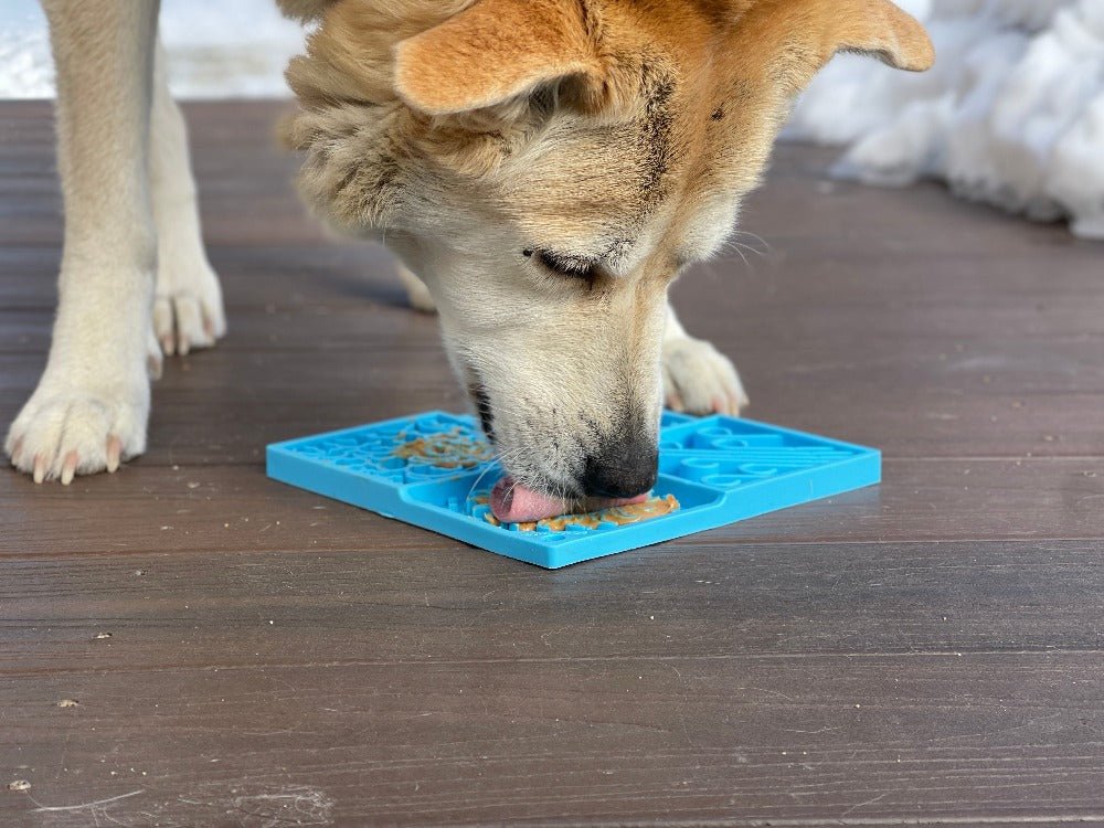 Sky eMat - Enrichment Lick Mat for Dogs and Cats | Celestial Design | SodaPup - SodaPup/True Dogs, LLC - Flyclothing LLC