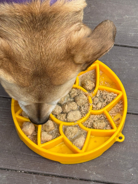Sunflower eTray Shallow Slow Feeder Dog Bowl for Enrichment | USA Made - SodaPup/True Dogs, LLC - Flyclothing LLC