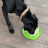 Garden Design eTray - Shallow Slow Feeder Dog Bowl for Enrichment | USA - SodaPup/True Dogs, LLC - Flyclothing LLC