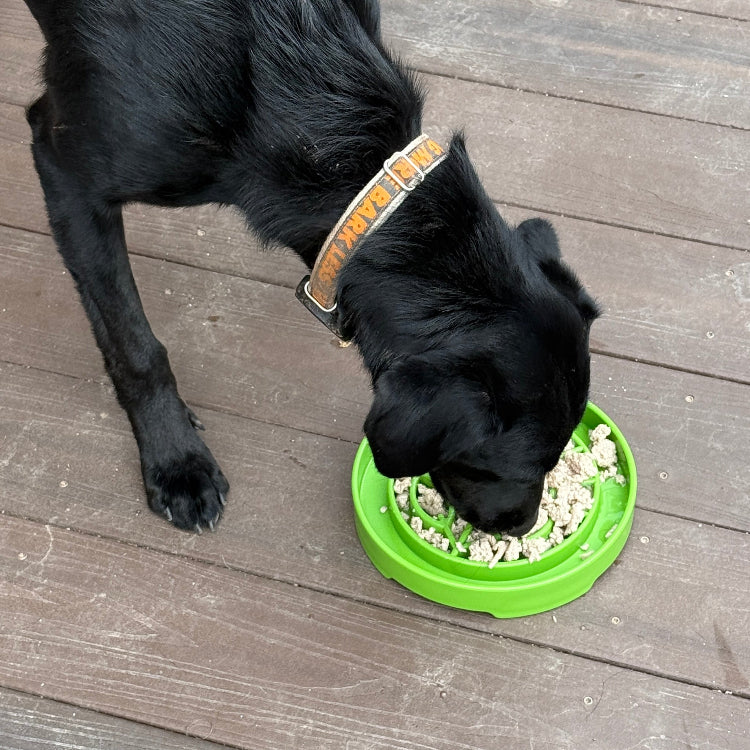 Garden Design eTray - Shallow Slow Feeder Dog Bowl for Enrichment | USA - SodaPup/True Dogs, LLC - Flyclothing LLC