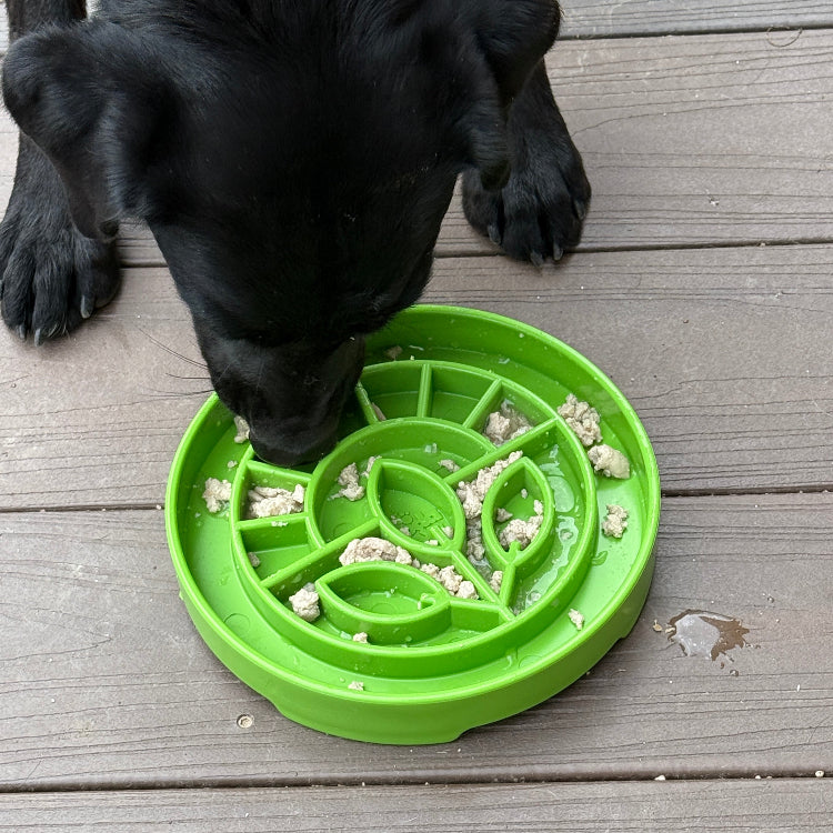Garden Design eTray - Shallow Slow Feeder Dog Bowl for Enrichment | USA - SodaPup/True Dogs, LLC - Flyclothing LLC