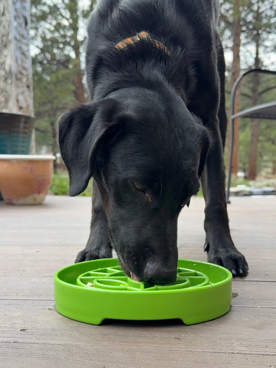 Garden Design eTray - Shallow Slow Feeder Dog Bowl for Enrichment | USA - SodaPup/True Dogs, LLC - Flyclothing LLC