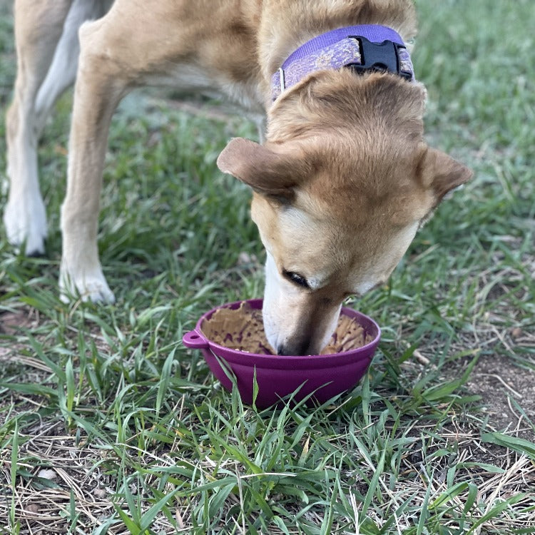 Garden of Eatin' Tipsy Bowl - Wobble Lick Mat for Dogs & Cats | USA Made - SodaPup/True Dogs, LLC - Flyclothing LLC